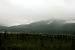 2013-08-11, 038, Denali Hwy, A8, Alaska