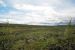 2013-08-11, 067, Denali Hwy, A8, Alaska