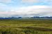 2013-08-11, 071, Denali Hwy, A8, Alaska
