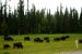 2013-08-16, 008, The Alaskan Hwy MP 496 - 0, BC