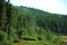 2013-08-15, 018, The Alaskan Hwy MP 779 - 496, YT-BC