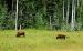 2013-08-15, 028, The Alaskan Hwy MP 779 - 496, YT-BC