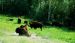 2013-08-15, 042, The Alaskan Hwy MP 779 - 496, YT-BC