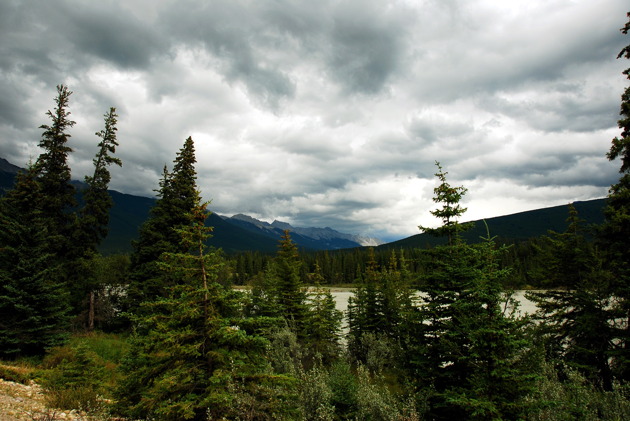 2013-08-18, 017, Along Rt 16 in Jasper NP, AB