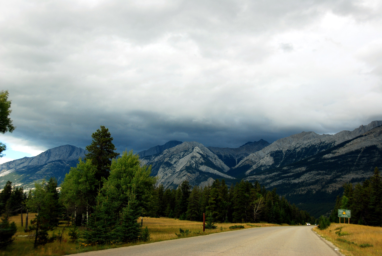 2013-08-18, 024, Along Rt 16 in Jasper NP, AB