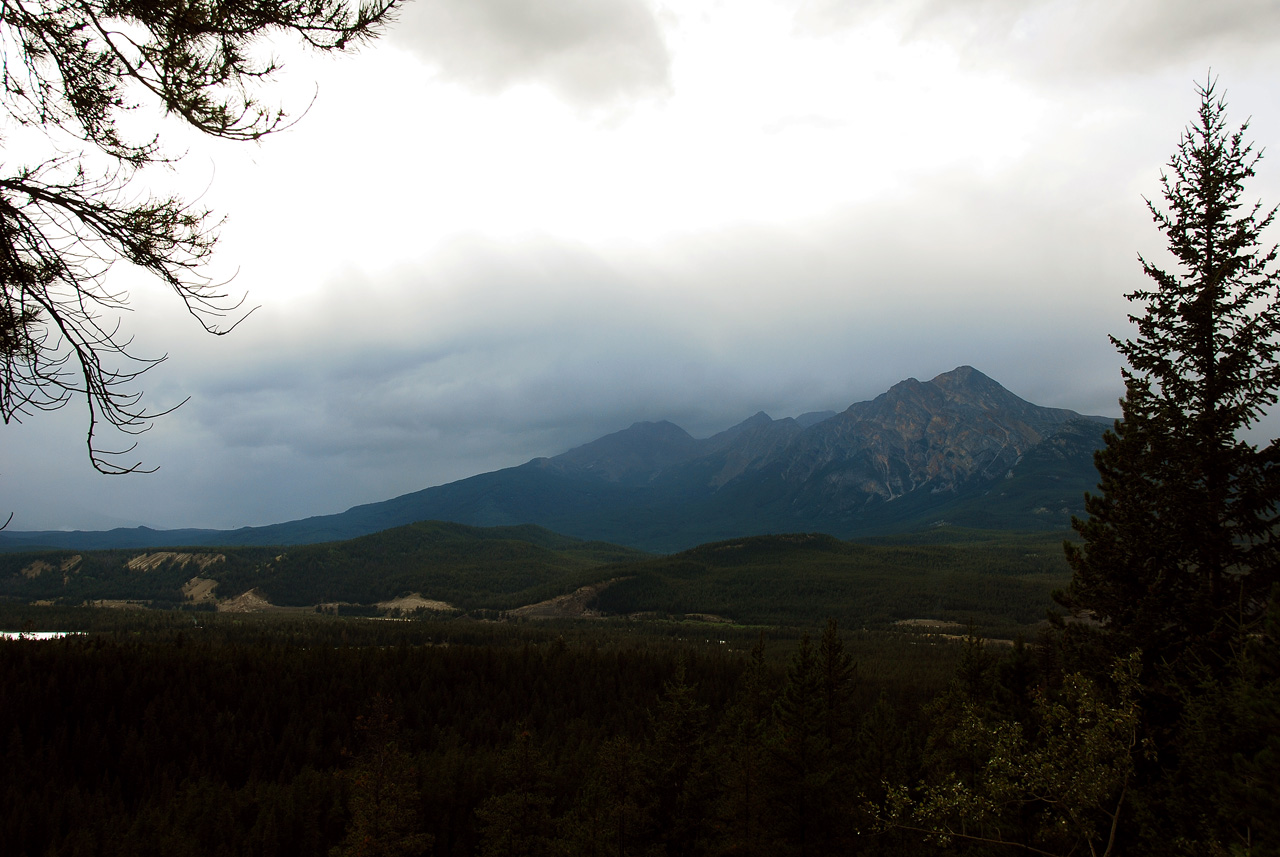 2013-08-18, 003, Along Rt 16 in Jasper, AB