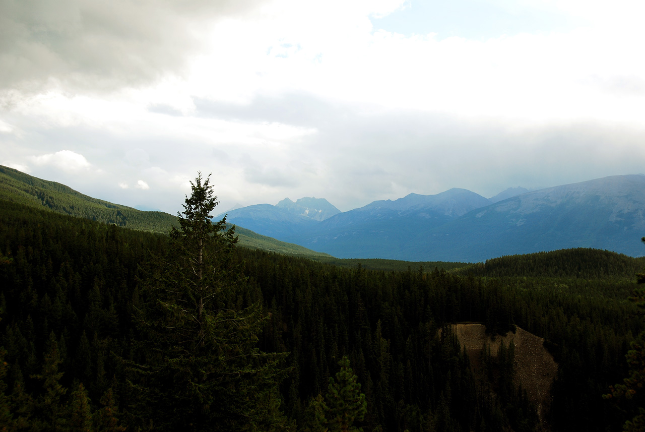 2013-08-18, 004, Along Rt 16 in Jasper, AB