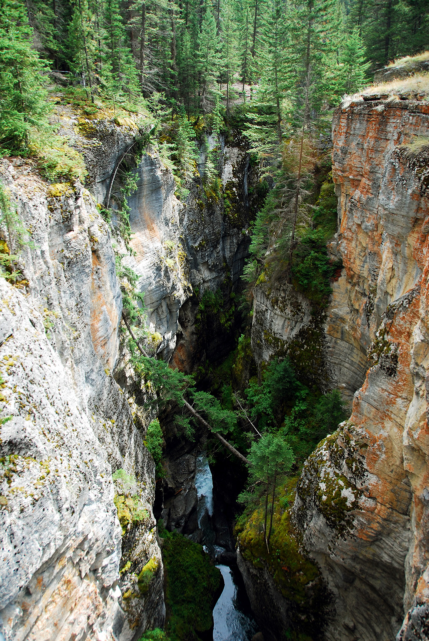 2013-08-18, 008, Maligne Canyon, Jasper, AB