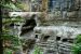 2013-08-18, 014, Maligne Canyon, Jasper, AB