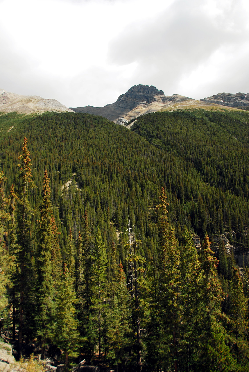2013-08-19, 011, Bridal Falls in Banff, AB