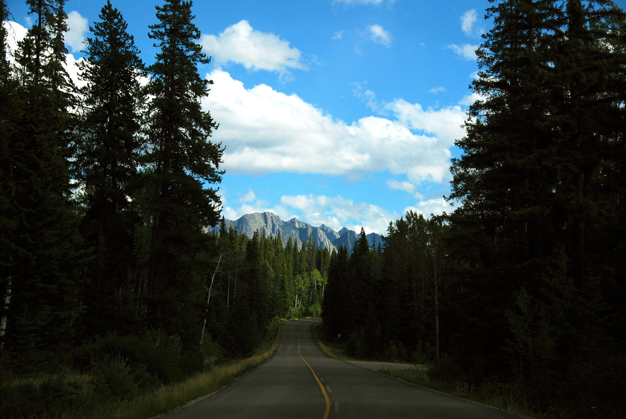 2013-08-19, 090, Along the 'Bow Valley Pkwy in Banff, AB