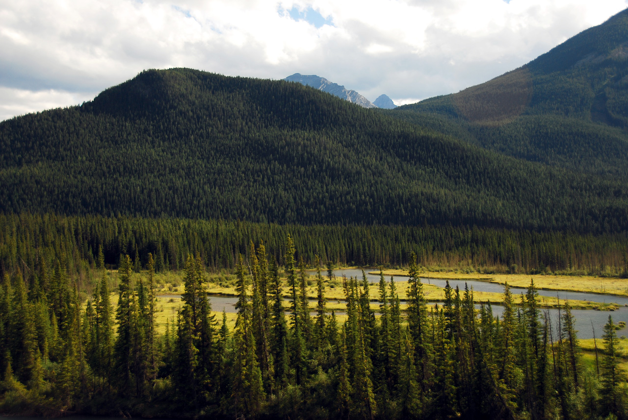 2013-08-19, 097, Along the 'Bow Valley Pkwy in Banff, AB
