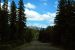 2013-08-19, 090, Along the 'Bow Valley Pkwy in Banff, AB