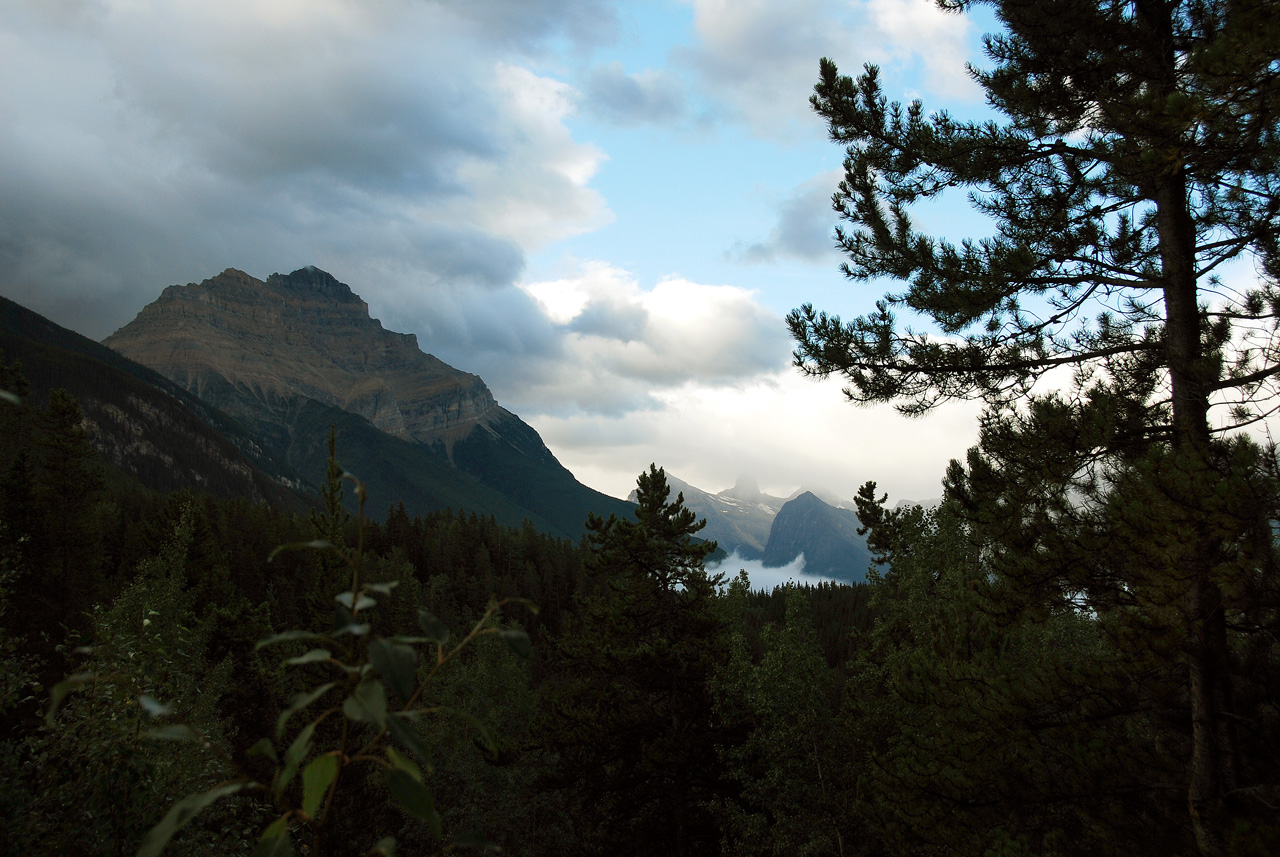 2013-08-19, 012, Along the 'Icefields Pkwy' in Jasper, AB