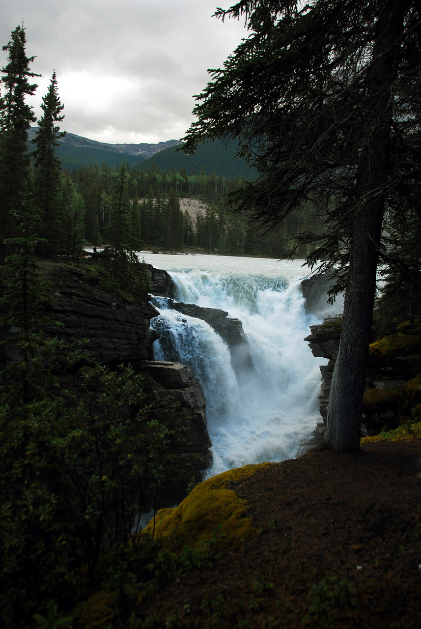 2013-08-19, 031, Athabasca Falls in Jasper, AB