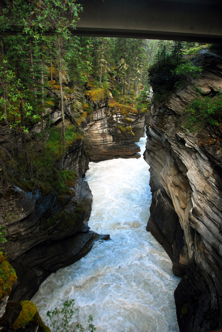 2013-08-19, 037, Athabasca Falls in Jasper, AB