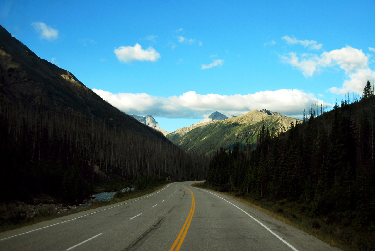 2013-08-20, 010, Along Rt 93 thru Kootenay NP, BC