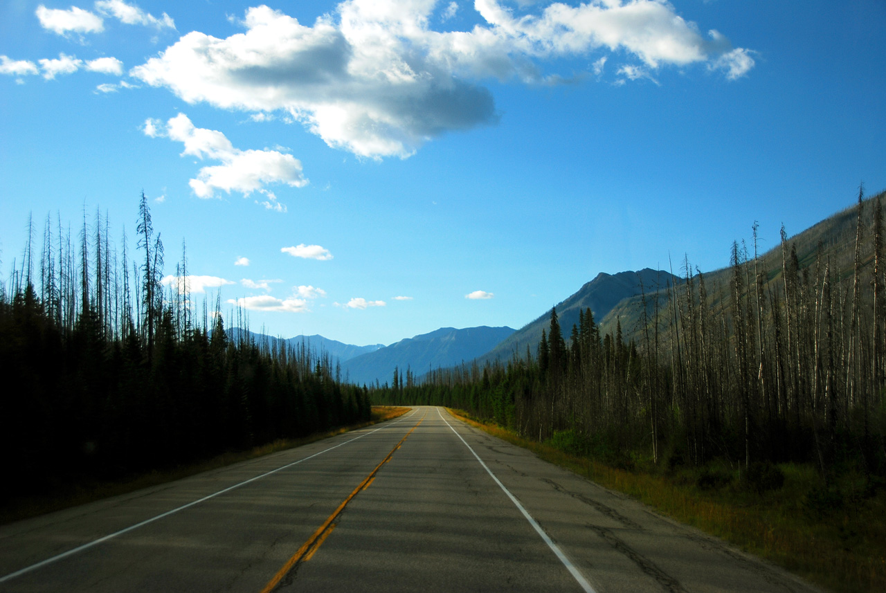 2013-08-20, 017, Along Rt 93 thru Kootenay NP, BC