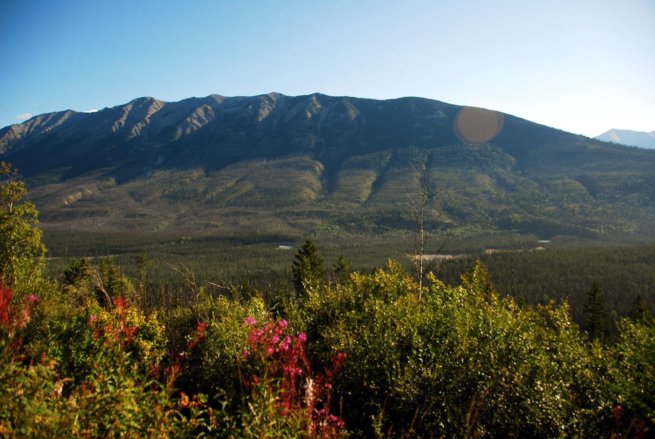 2013-08-20, 027, Along Rt 93 thru Kootenay NP, BC