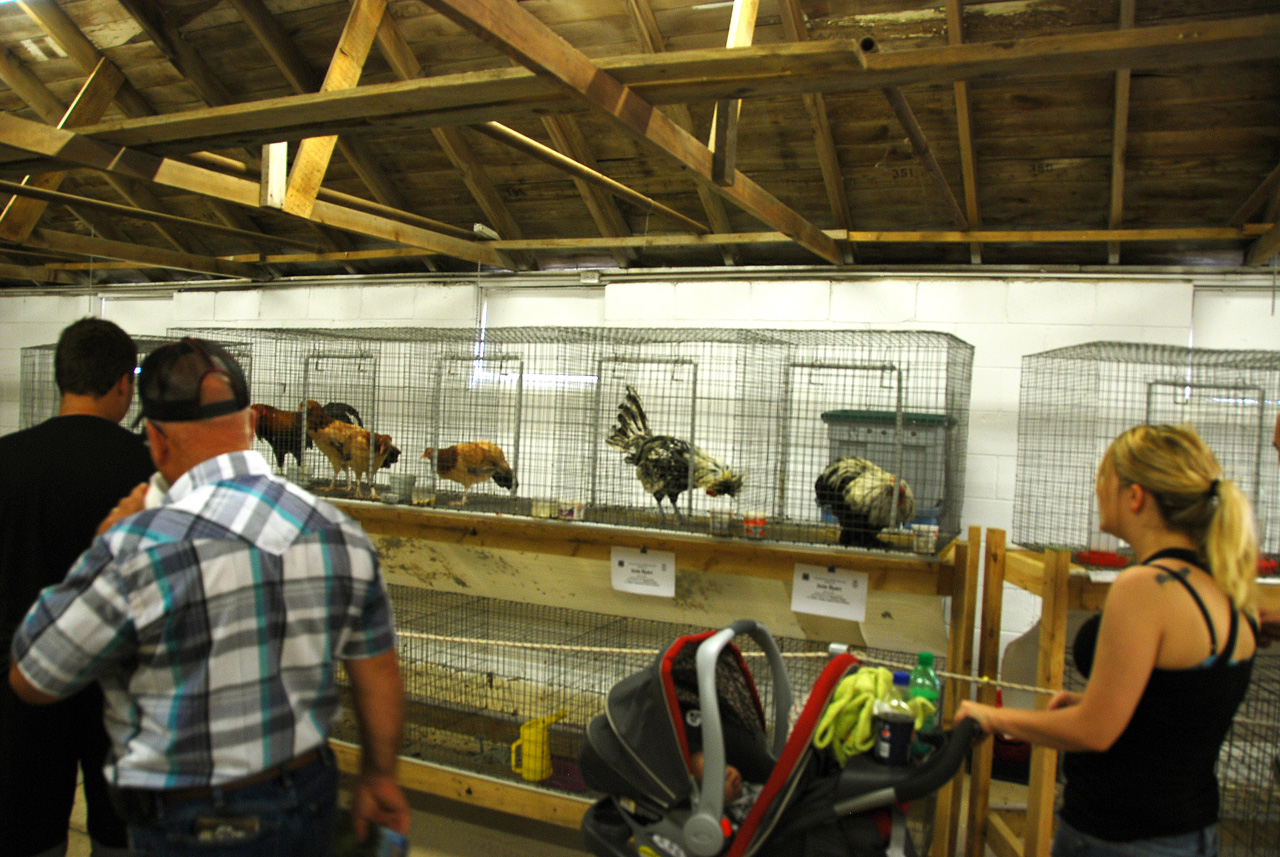 2013-09-07, 076, Clay County Fair, IA