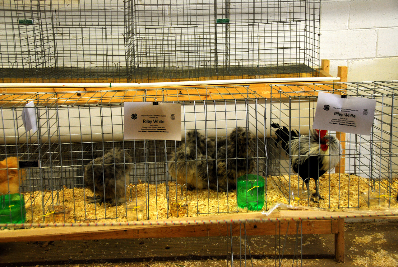 2013-09-07, 078, Clay County Fair, IA