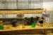2013-09-07, 078, Clay County Fair, IA