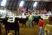 2013-09-07, 095, Clay County Fair, IA