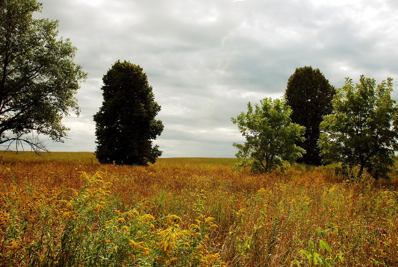 2013-09-11, 024, Herbert Hoover Library, IA
