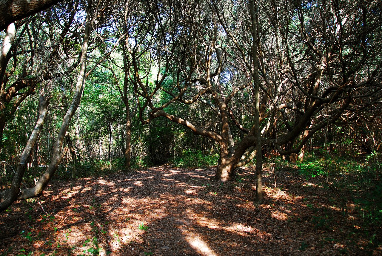 2013-10-30, 029, Myrtle Beach, SC