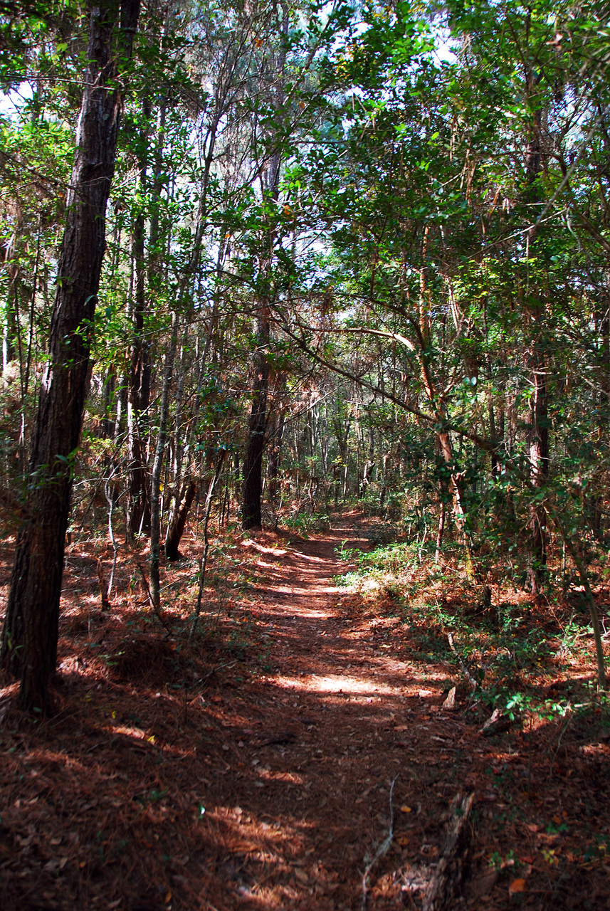 2013-10-30, 030, Myrtle Beach, SC