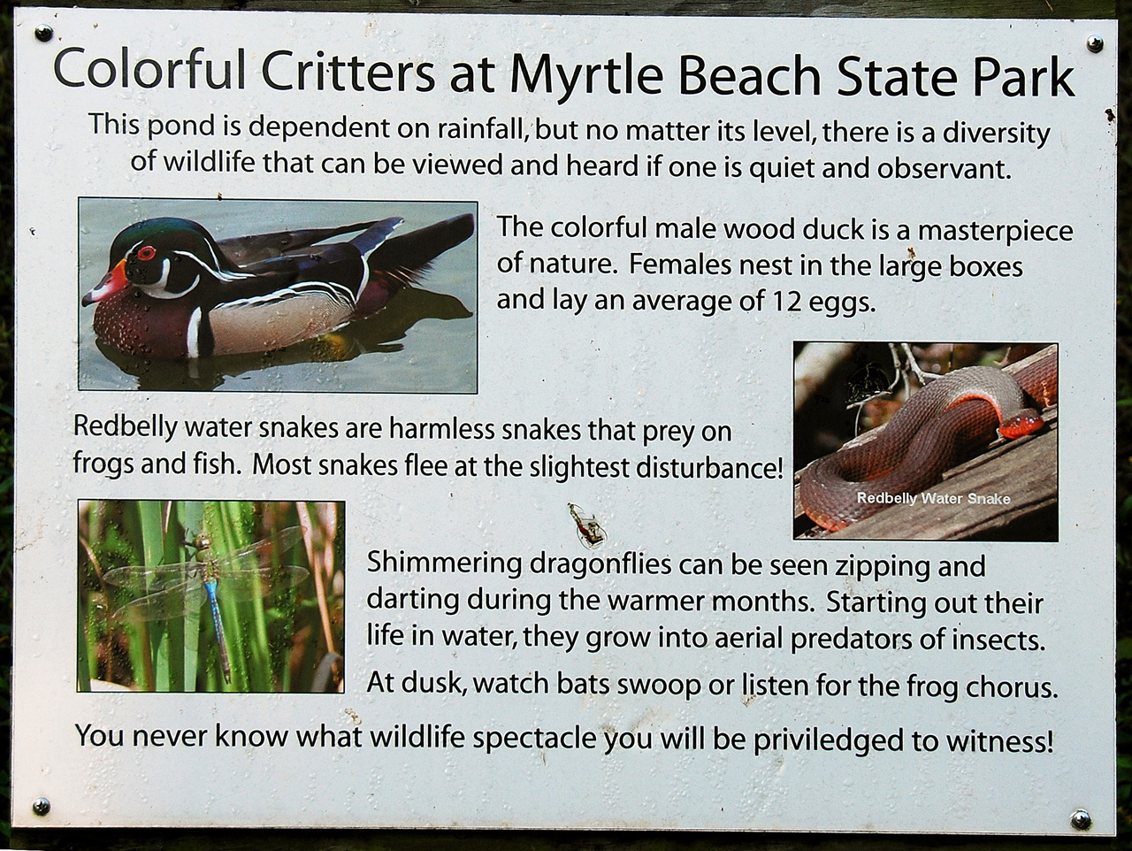 2013-10-30, 031, Myrtle Beach, SC