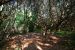 2013-10-30, 029, Myrtle Beach, SC
