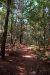 2013-10-30, 030, Myrtle Beach, SC