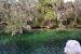 2014-01-21, 007, Blue Springs St Pk, FL