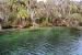 2014-01-21, 010, Blue Springs St Pk, FL