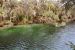 2014-01-21, 011, Blue Springs St Pk, FL