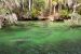 2014-01-21, 013, Blue Springs St Pk, FL