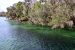 2014-01-21, 014, Blue Springs St Pk, FL