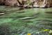 2014-01-21, 019, Blue Springs St Pk, FL