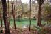 2014-01-21, 027, Blue Springs St Pk, FL