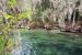 2014-01-21, 029, Blue Springs St Pk, FL