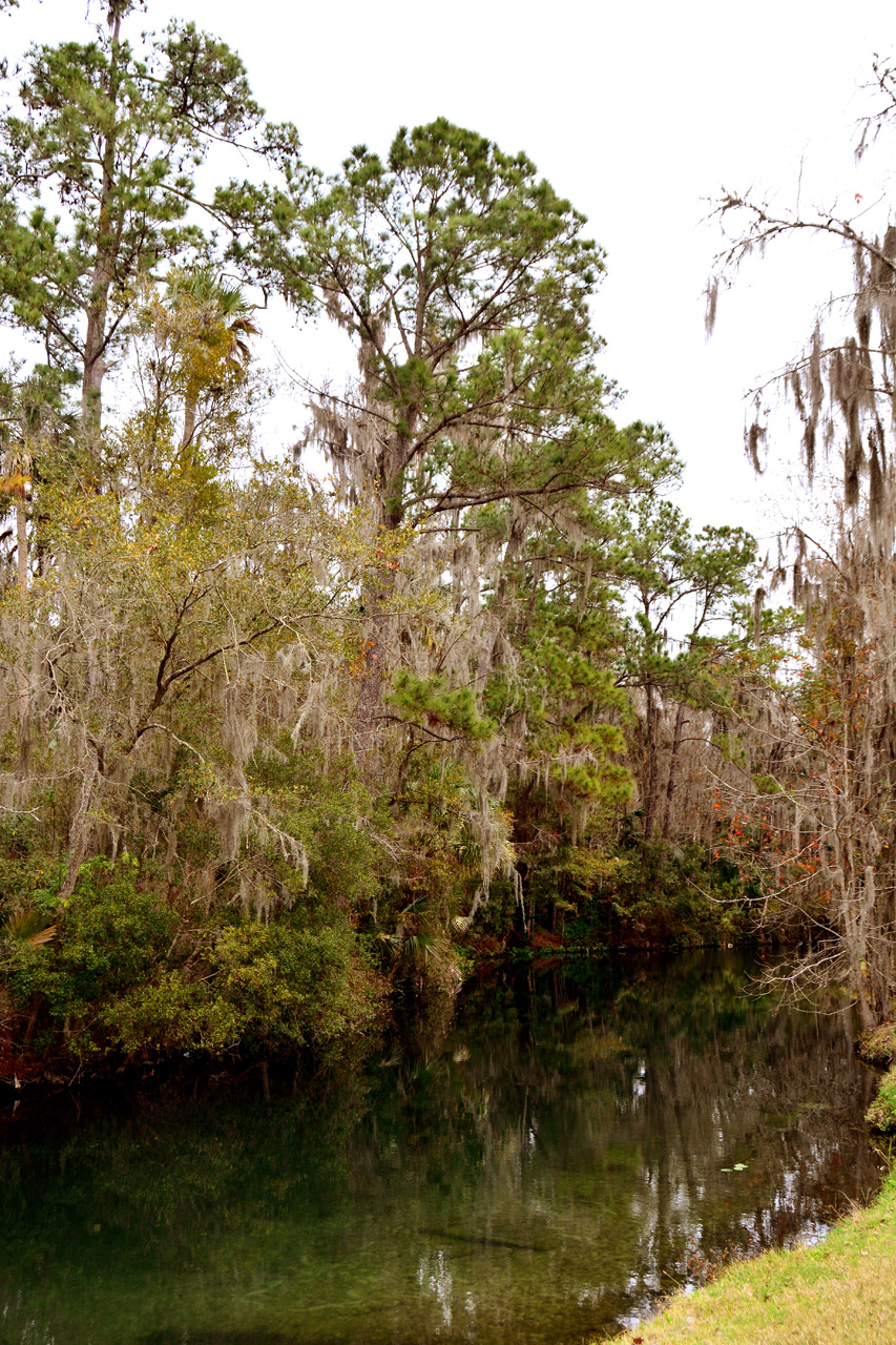 2014-01-09, 003, Along the River