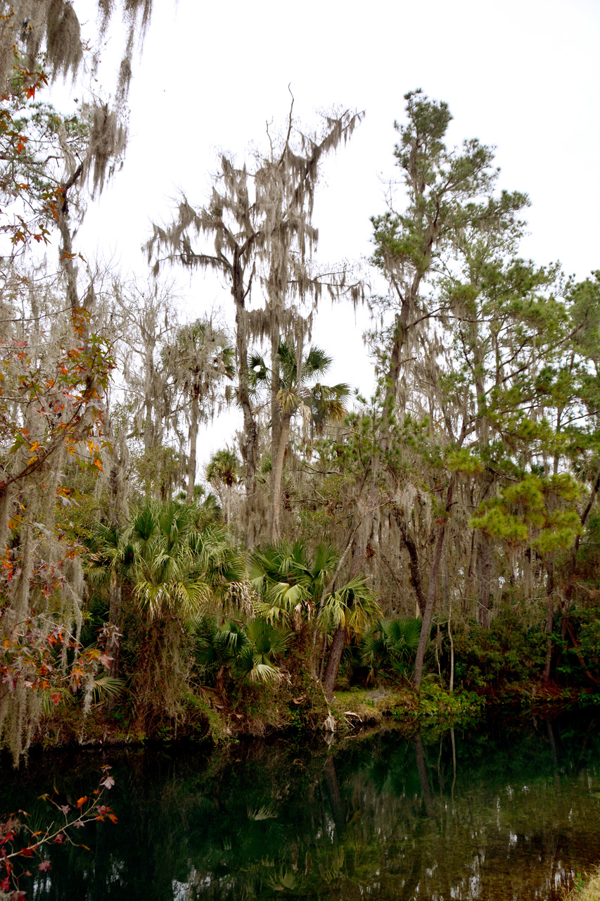 2014-01-09, 005, Along the River