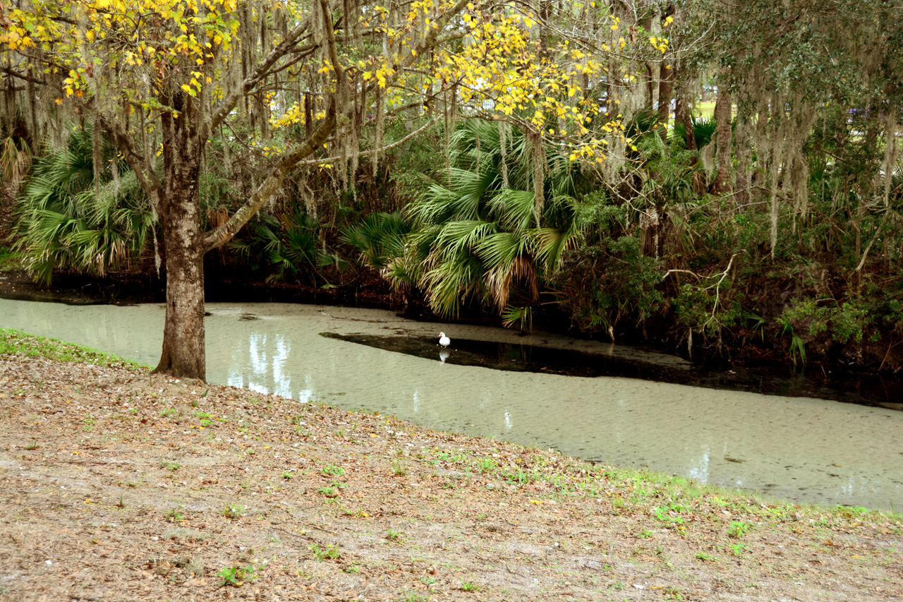 2014-01-09, 007, Along the River