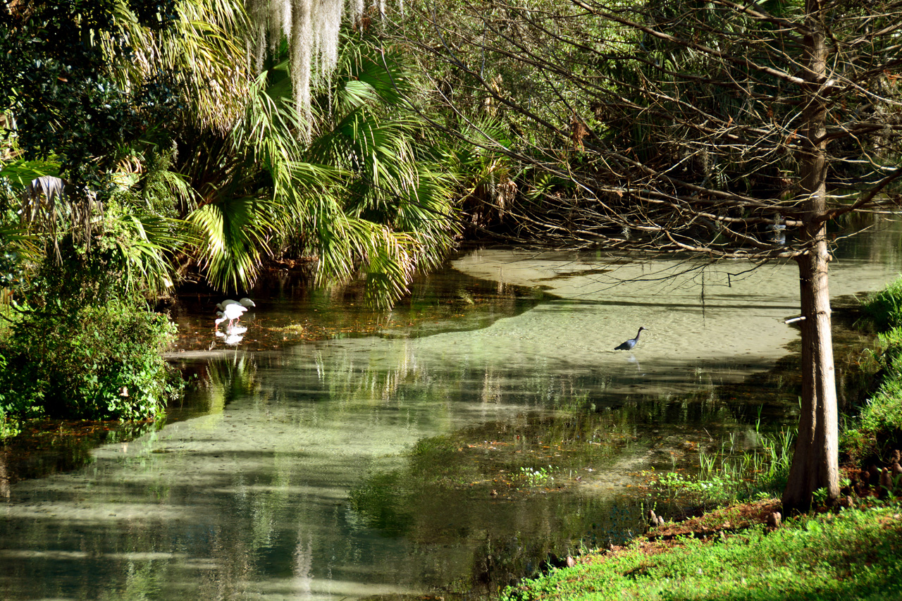 2014-01-09, 015, Along the River