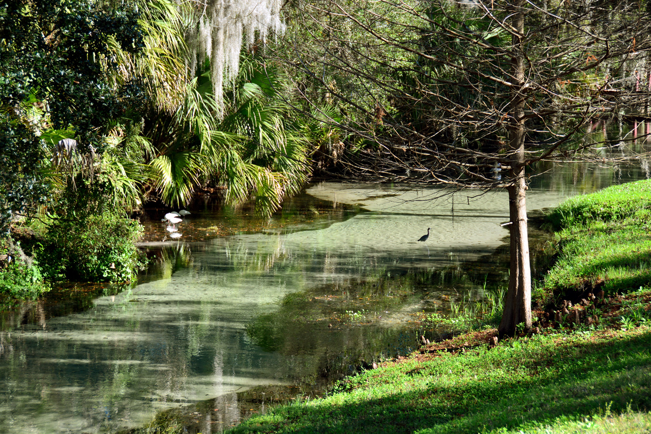 2014-01-09, 016, Along the River
