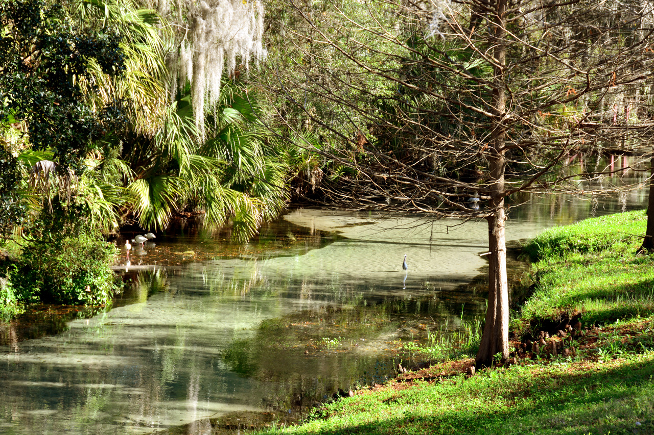 2014-01-09, 017, Along the River