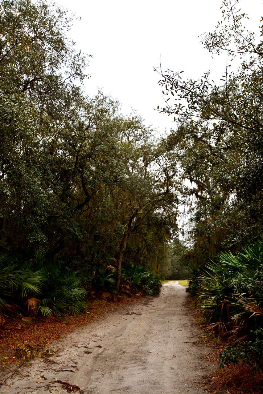 2014-01-09, 027, Along the River