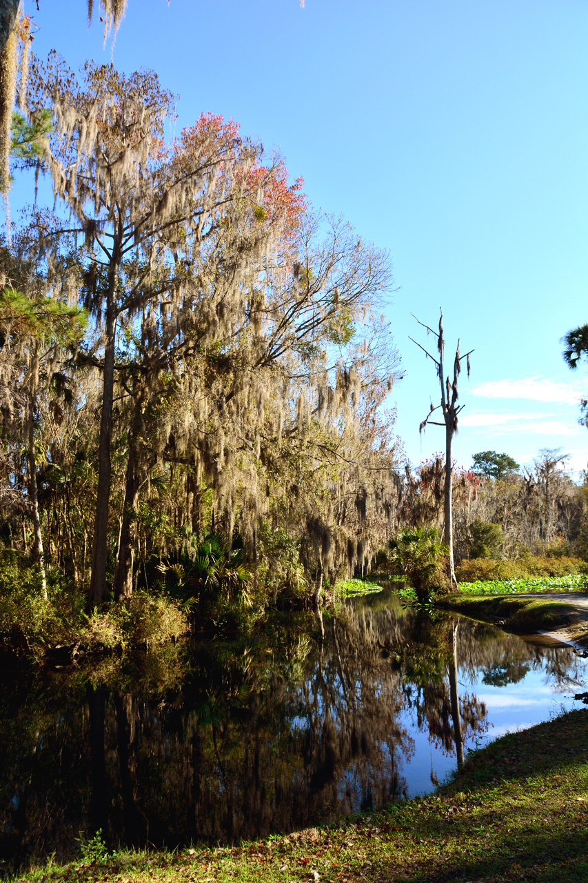 2014-01-09, 032, Along the River