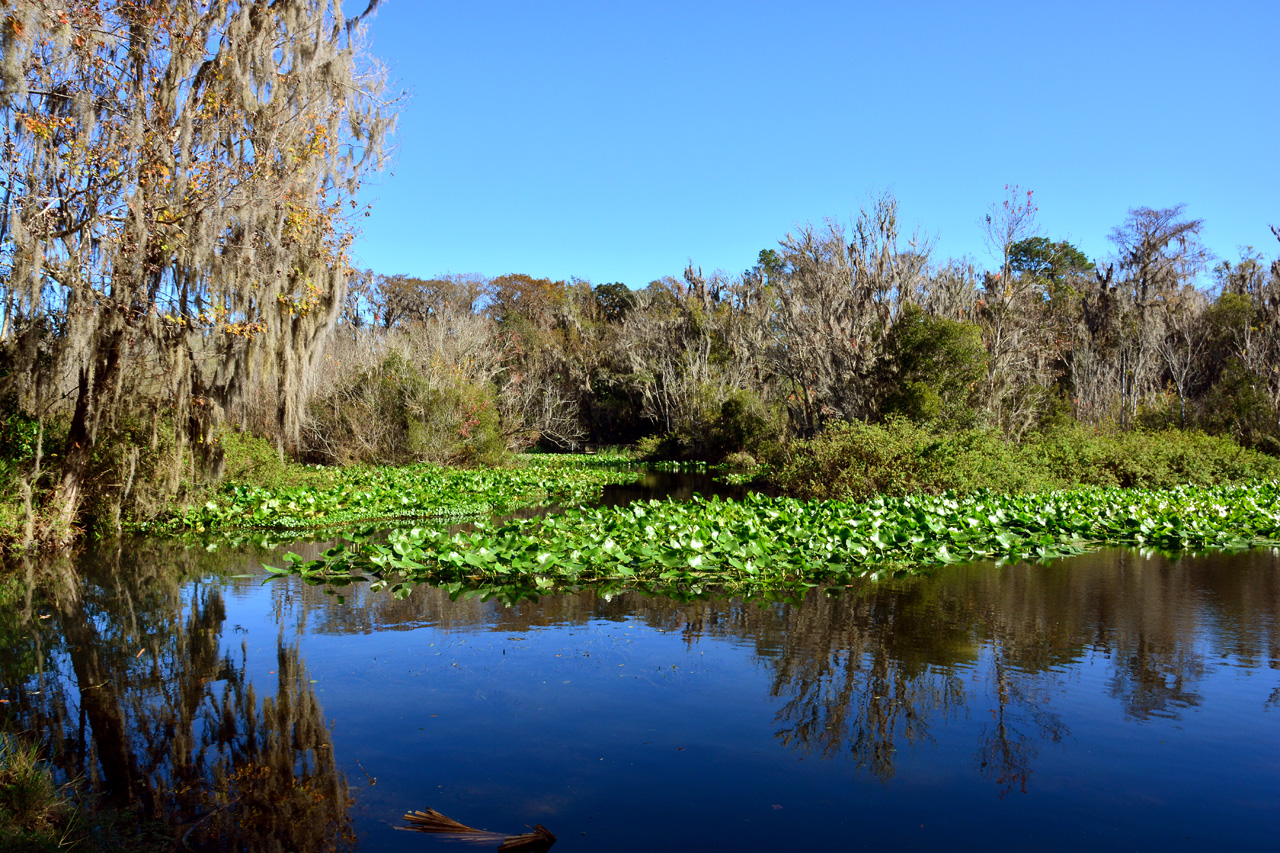 2014-01-09, 038, Along the River